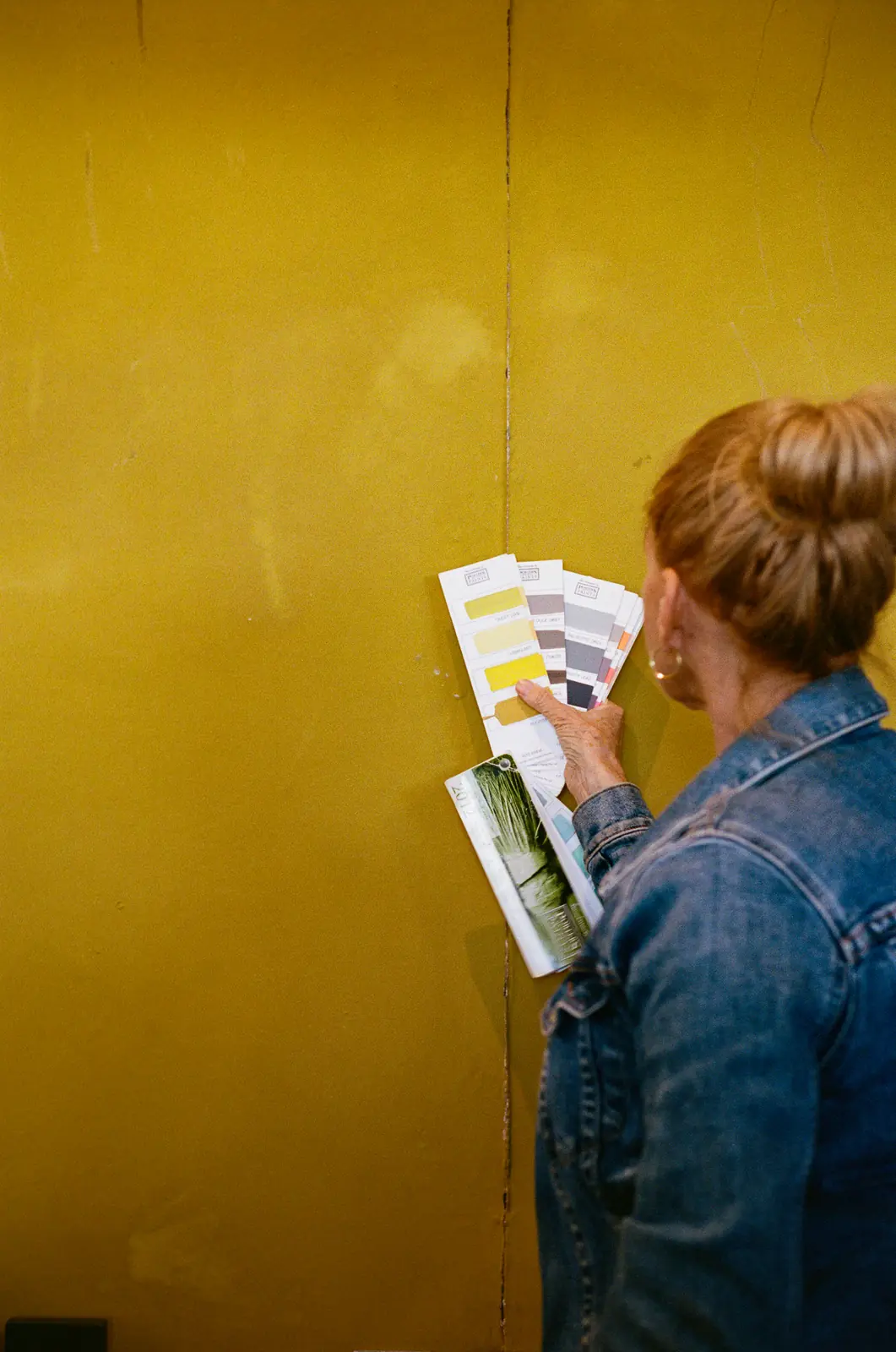 Colour fans held open against an ochre wall