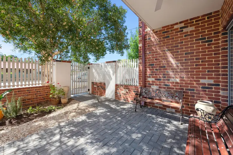 The courtyard at The Tonic, brick paving beneath a shade tree